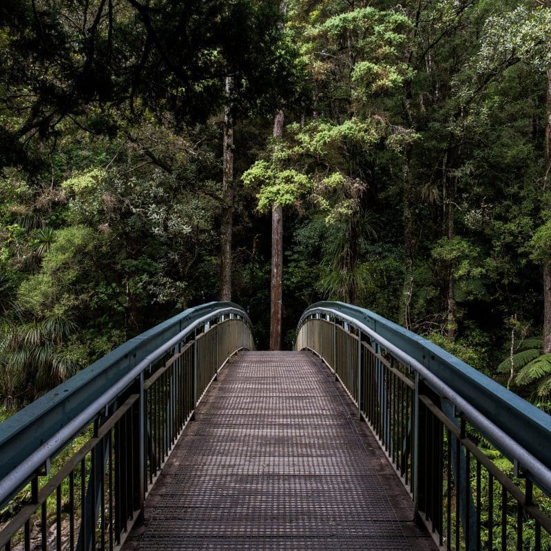 bridge into woods